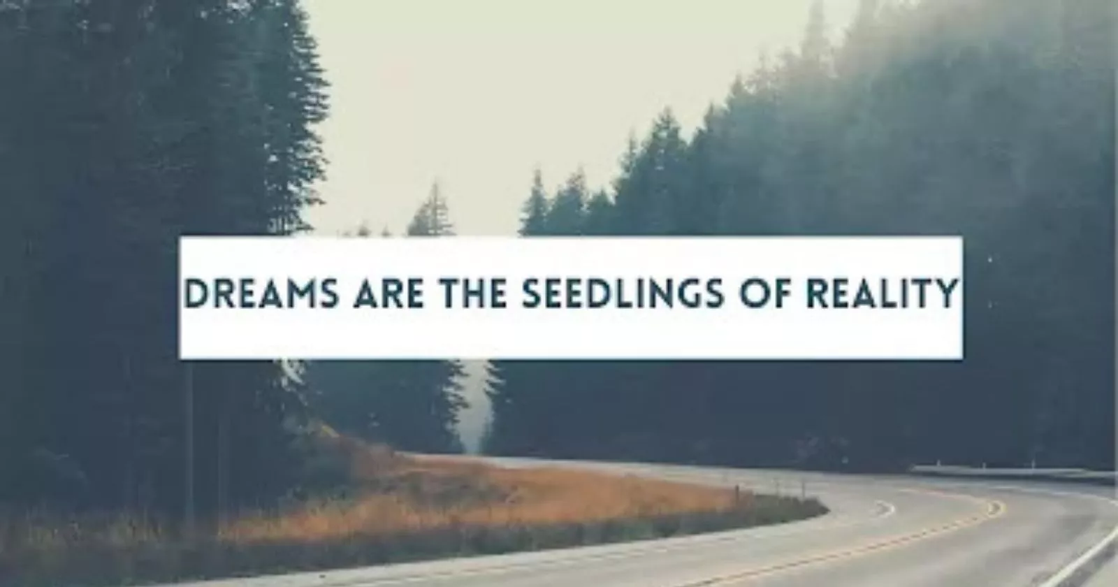 Dream quotes in hindi and english