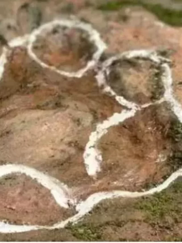 ezgif.com-gif-maker (32)