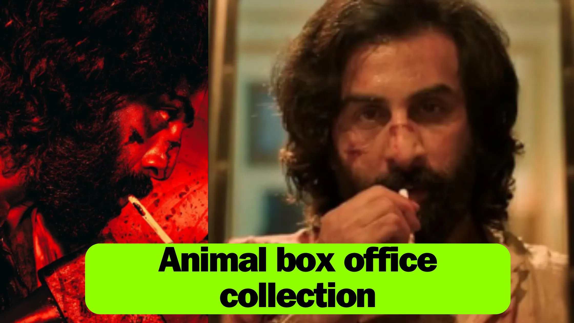 Animal box office collection